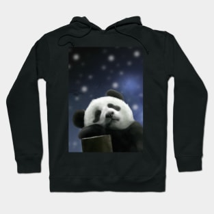 Sleeping Panda Hoodie